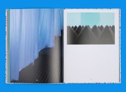 Exhibition Identity for Diving Into the Color - thumbnail 9