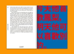 Editorial Design for PRISM OF #15 Magazine - thumbnail 9