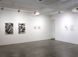 Exhibition Design for Dogs - thumbnail 2
