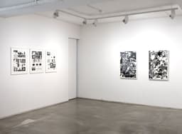 Exhibition Design for Dogs - thumbnail 3