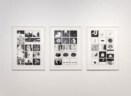Exhibition Design for Dogs - thumbnail 4