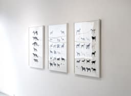 Exhibition Design for Dogs - thumbnail 5