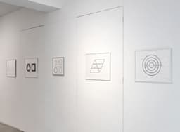 Exhibition Design for Dogs - thumbnail 6