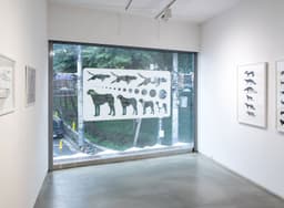 Exhibition Design for Dogs - thumbnail 7