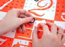 Calendar Bag for 2022 Year of the Tiger - thumbnail 5