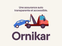 Brand Identity For Ornikar - thumbnail 5