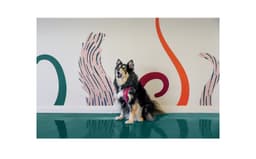 Brand Identity For Kip Happy Stays - thumbnail 7