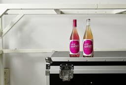 Visual Identity for Organic Wine Brand Vino Honesto - thumbnail 8