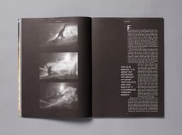 Art Direction for a Bigger Park Magazine and Website - thumbnail 3