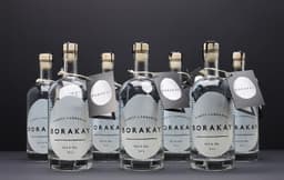 Visual Identity for Borakay Spirits - thumbnail 3