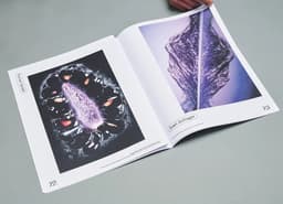 Art Direction for a Bigger Park Magazine - thumbnail 2