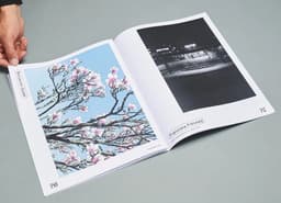 Art Direction for a Bigger Park Magazine - thumbnail 4
