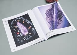 Art Direction for a Bigger Park Magazine - thumbnail 8