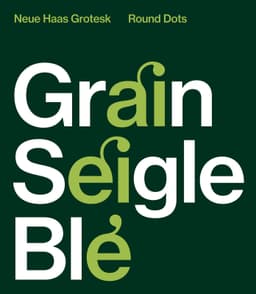 Brand refresh for a natural and organic food retailer  - thumbnail 9