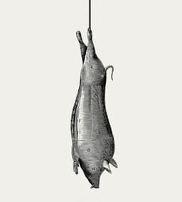 Brand Identity For Paternoster Chop House Restaurant - thumbnail 3
