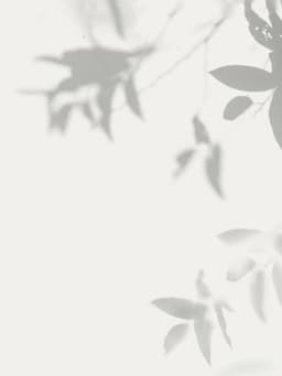 Brand Identity For Pulitzer Garden Restaurant - thumbnail 3