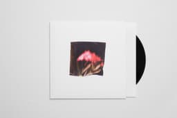 Vinyl Packaging For Postcards From Nowhere - thumbnail 2