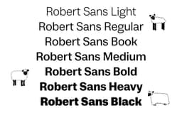 Typeface Design For Cofo’s Font Library  - thumbnail 3