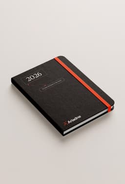 Brand Identity And Web Design For Ariadne Merger - thumbnail 7
