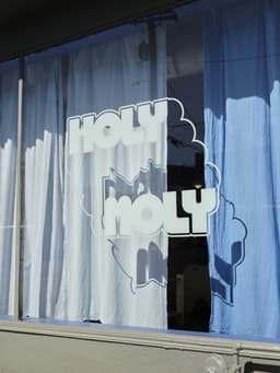 Brand Identity for Holy Moly Hair Salon - thumbnail 2
