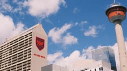 Brand Identity For Calgary Wild Fc - thumbnail 4