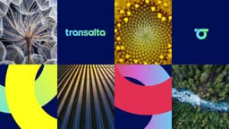Brand Identity For Transalta - thumbnail 3