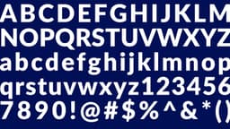 Brand Identity For Transalta - thumbnail 4