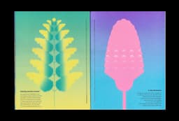 Annual Report Design for Calgary Foundation - thumbnail 5