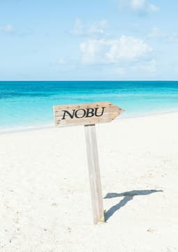 Website And Brochure Design For The Beach Club Barbuda - thumbnail 4