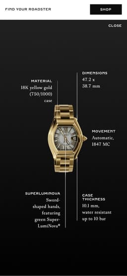 Product Landing Page For A Luxury Watch Collection  - thumbnail 6