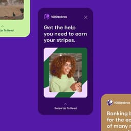 Brand Identity for 1000Zebras Credit Union - thumbnail 4