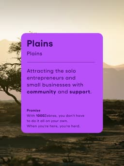 Brand Identity for 1000Zebras Credit Union - thumbnail 8