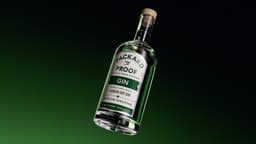 Packaging and Brand Identity for Packard Proof Spirits - thumbnail 2