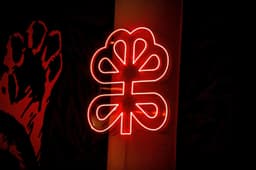 Brand Identity for Baru Sushi Lounge - thumbnail 2