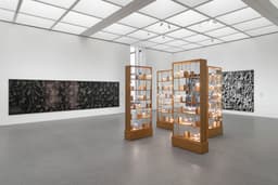 Visual Identity for Pinakothek der Moderne Exhibition - thumbnail 7