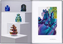 Exhibition Catalogue for Monira Al Qadiri - thumbnail 8