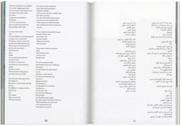 Editorial Design for a Bilingual Poetry and Photography Publication - thumbnail 8