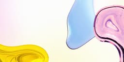 Visual Identity for Bureau Ritter - thumbnail 2