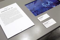 Exhibition Identity for in Search of Europe - thumbnail 8