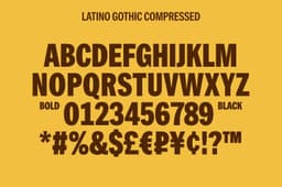 Brand Identity And Packaging For Danchos Corn Chips - thumbnail 7