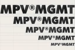 Brand Identity For Mpv Mgmt - thumbnail 4