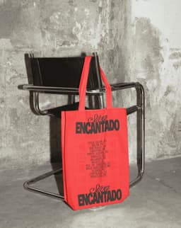Visual Identity And Publication For Silva’s Encantado Album - thumbnail 7