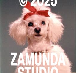 Brand Identity For Zamunda Audiovisual Studio - thumbnail 2