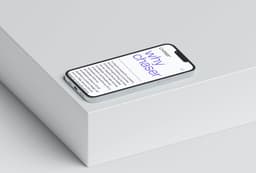 Brand Identity For A Cybersecurity Company - thumbnail 7