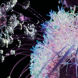 Digital Fashion Experience For H&m Metaverse Design Story - thumbnail 7
