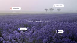 Brand Identity For Riyadh Air - thumbnail 4
