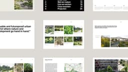 Brand Identity And Website Redesign For A Landscape Architecture Studio - thumbnail 8