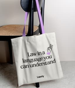 Visual Identity And Website Design For Lawly - thumbnail 3