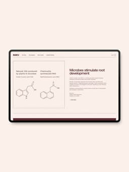 Brand Identity And E-commerce Website For Imio - thumbnail 9