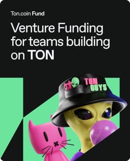 Website Design For Toncoin.fund - thumbnail 5